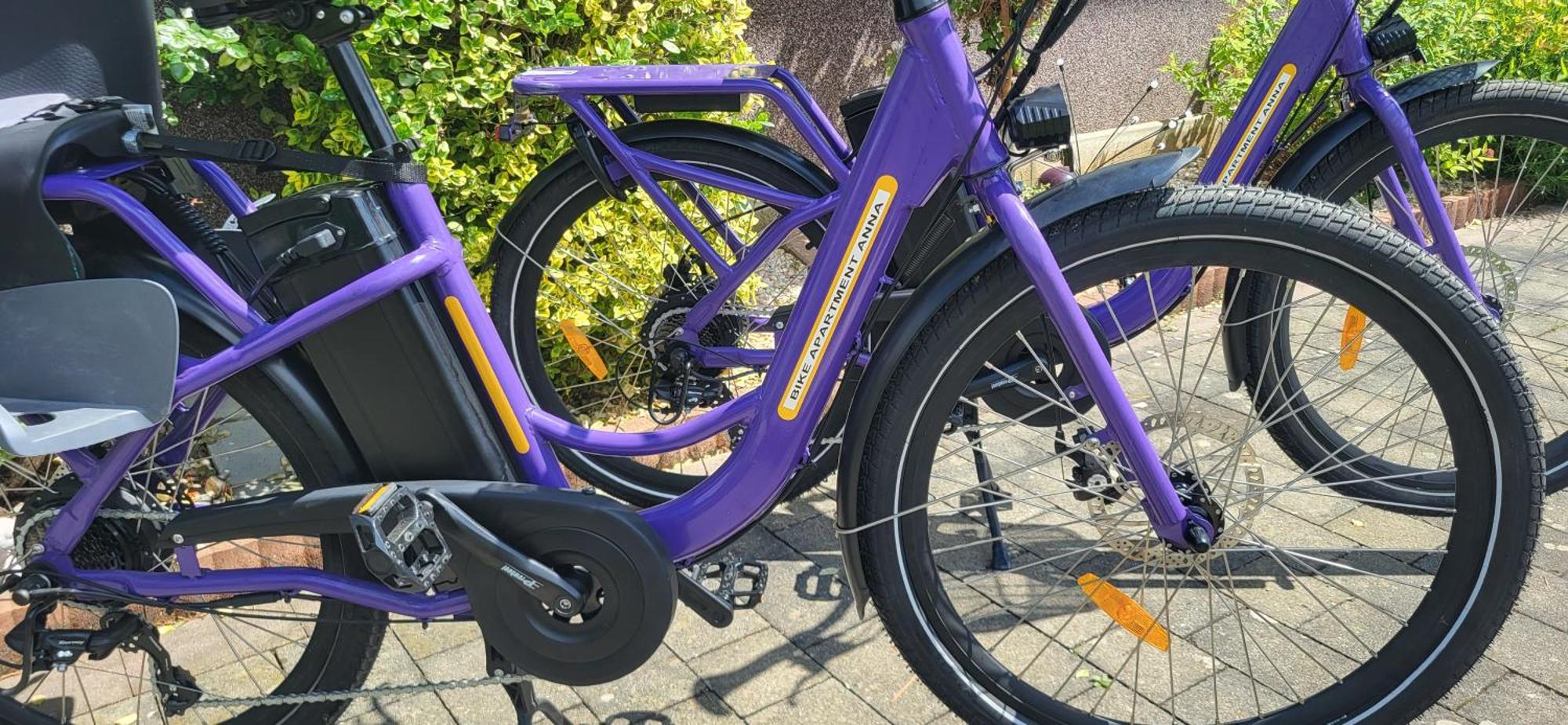 Zwei Schlafzimmer Ferienapartment Anna Am Stubenbergsee Inklusive Vier E-Bikes Экстерьер фото